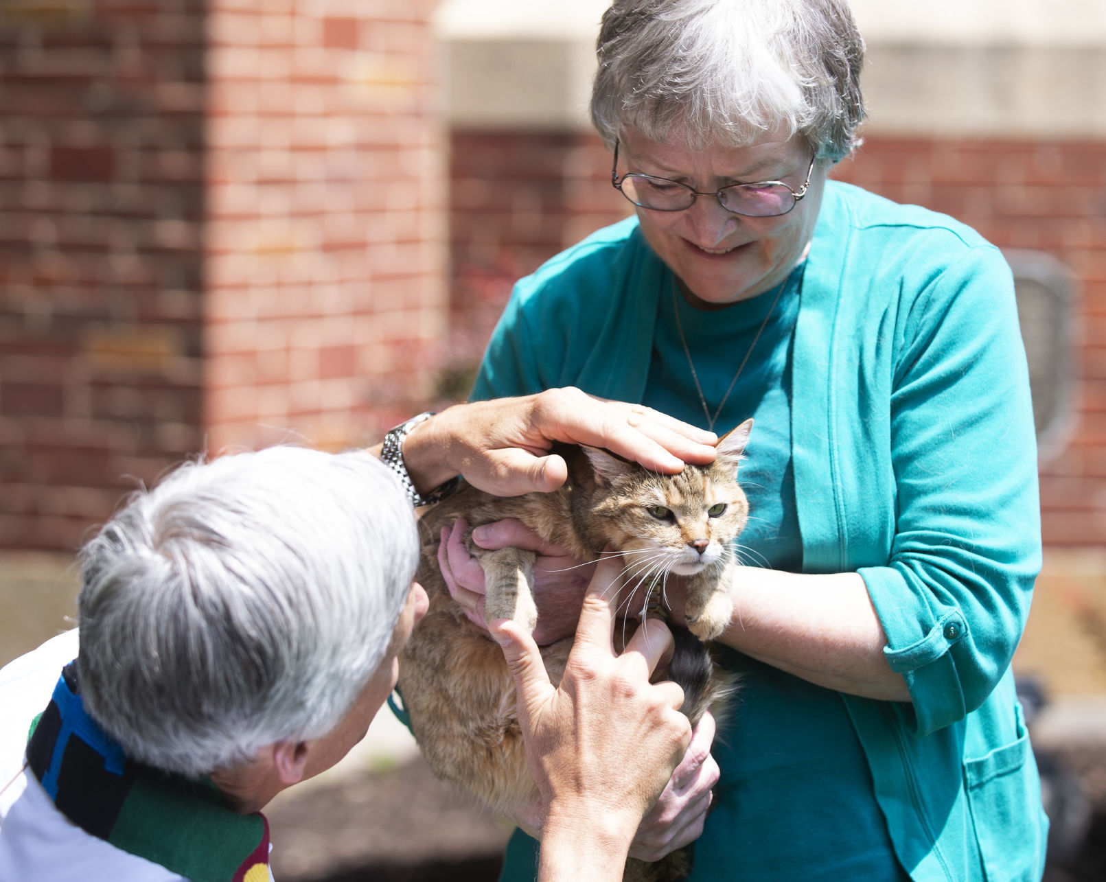 Animal Blessing at First-Plymouth Congregational Church, 6.2